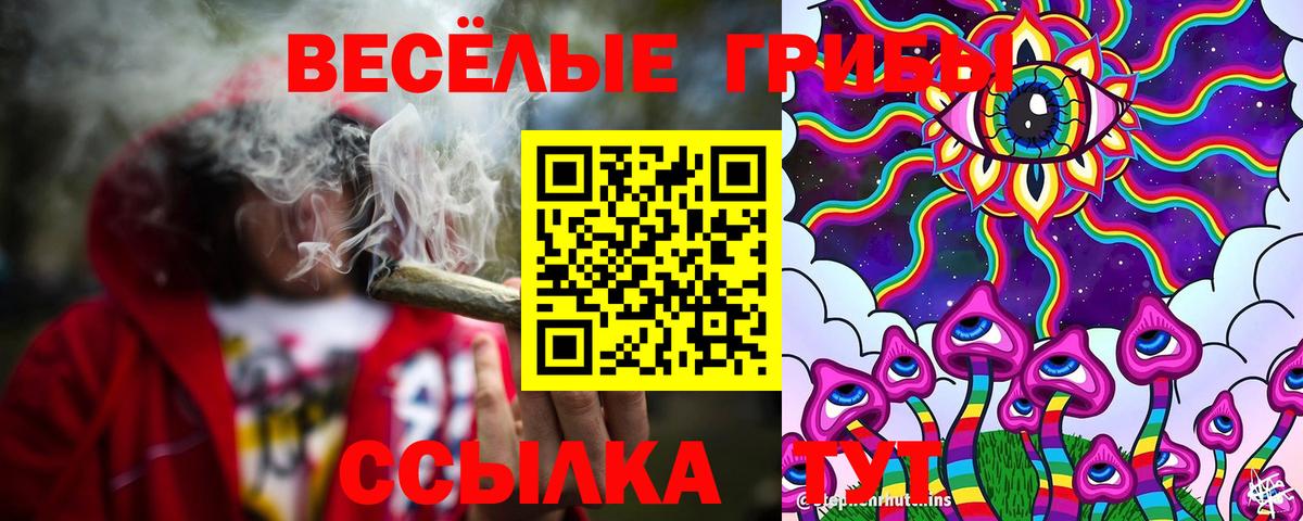 Галлюциногенные грибы прущие грибы  Псилоцибиновые грибы прущие грибы  Вход с VPN  купить   Ливны 