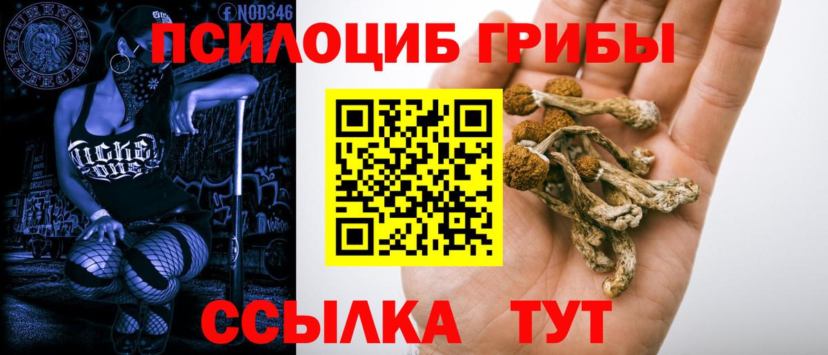 Псилоцибиновые грибы мухоморы Ливны